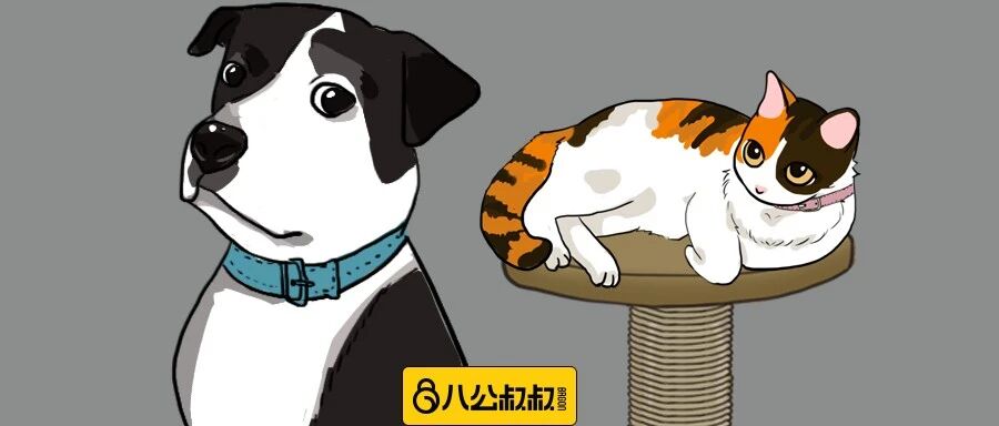 这只狗一看就是猫咪带大的，竟然不爱叫也不黏人！