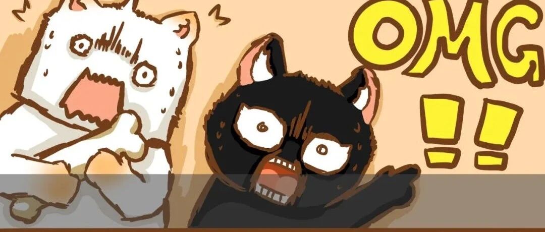 年夜饭上，猫狗大和谐的一幕出现了！