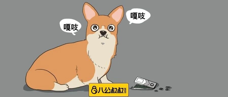 这个日常用品竟让柯基铜中毒？原来危险这么近……