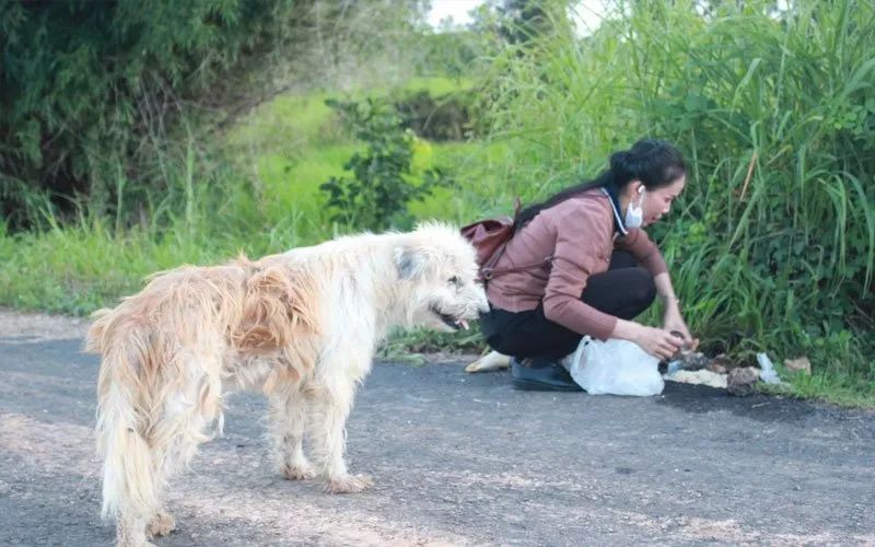 狗狗的執念！它在同一個十字路口等了主人四年…… 寵物 第4張