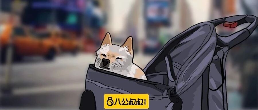 当狗狗的生命临近终点，你知道他会做些什么吗？