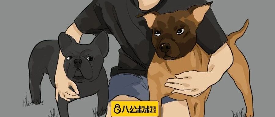 当铲屎官遇到威胁？“我永远不希望狗狗为了救我付出生命！”