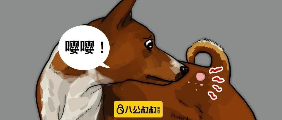 高发却往往被忽视！关于狗狗过敏你们了解多少？