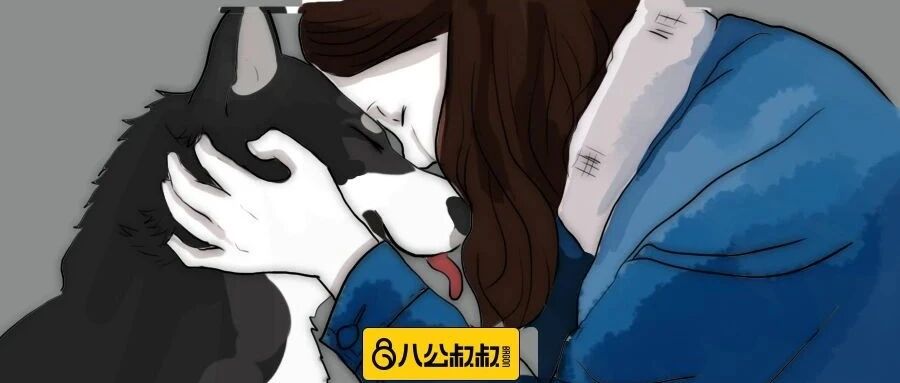 让狗狗越来越爱你的几个小妙招，今天全部交代了！