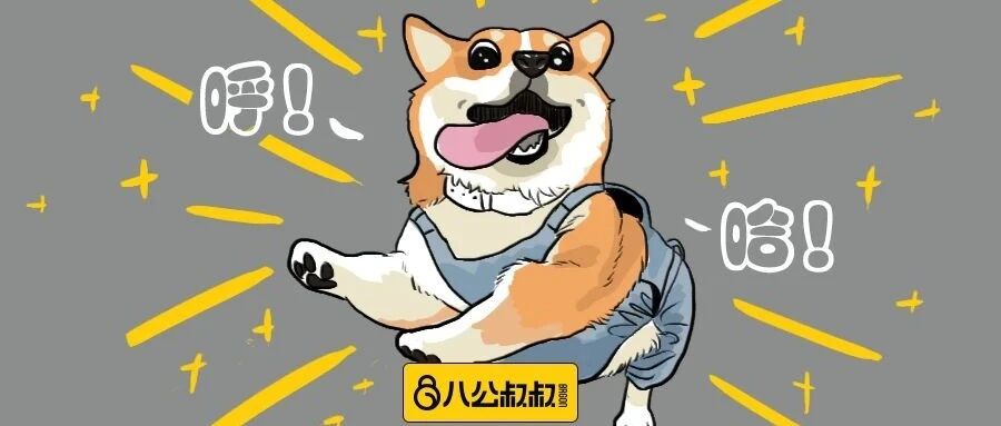 看到这只柯基，我能快落一整天！