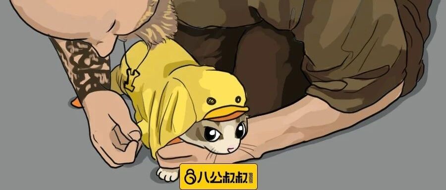 小动物不仅仅可以治愈生活，也在治愈犯罪！