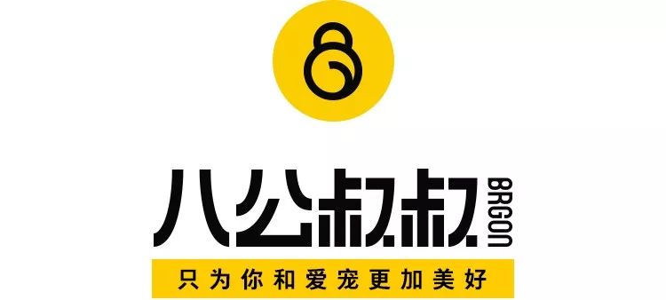 萬萬沒想到，狗子有一天竟能成為「出入通行證」！ 寵物 第1張