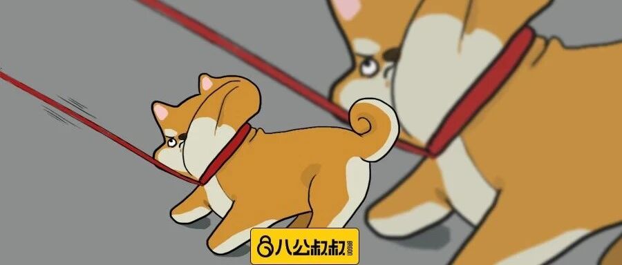 关于狗狗的生命绳，这是80%的人不知道的事！