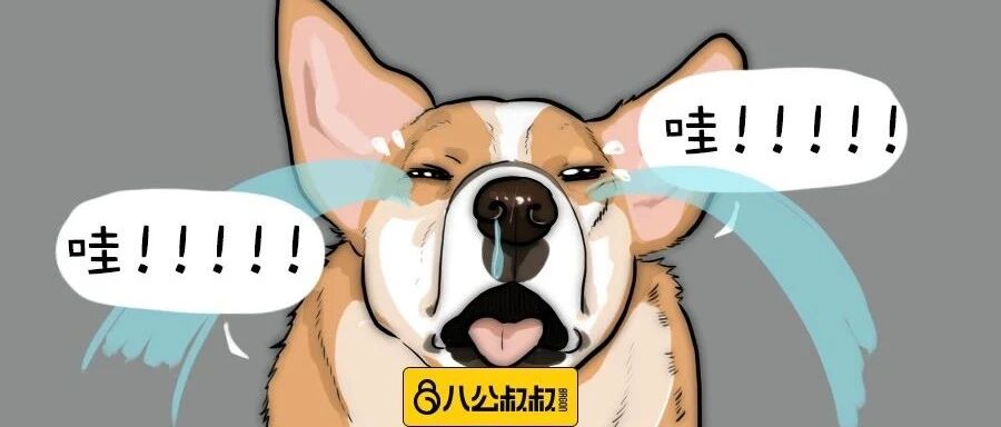 每次我家汪忧伤盯着我的时候，我就知道它吃醋了……