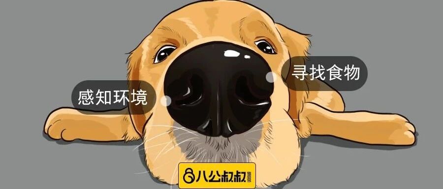 这件全世界人们都知道的事，你想过背后的原因吗？