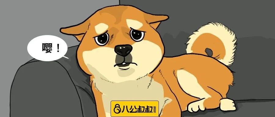 别让它们发生！这5件事会给狗狗造成心理阴影……