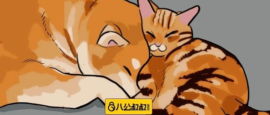 哭笑不得！养猫养狗的差别这么大？也太真实了吧！