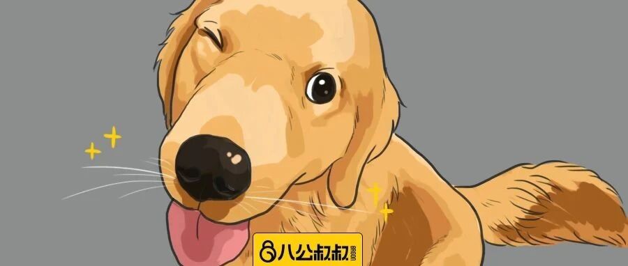 狗狗身上的这个东西看似稀松平常，了解之后大吃一惊!