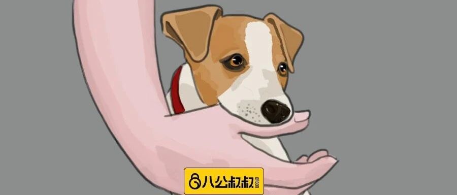 “听说铲屎官的手都是烤肉味的， 汪…尝尝？”