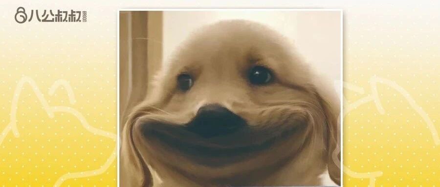 救命！亲密接触时狗子臭气熏天，下一步亲还是不亲？ | 热门问诊白皮书