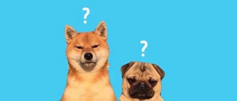 要命！这件事越干越上头，狗狗脑子里咋想的？