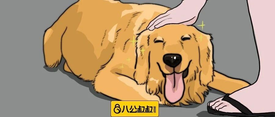 这件考验铲屎官决心和毅力的事，你的心够狠吗？