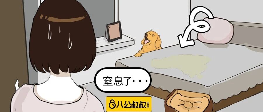 据说没有威严的铲屎官会让狗狗产生这些行为！你家狗有吗？