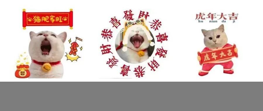 快过年了，你该入手哪些毛孩表情包？