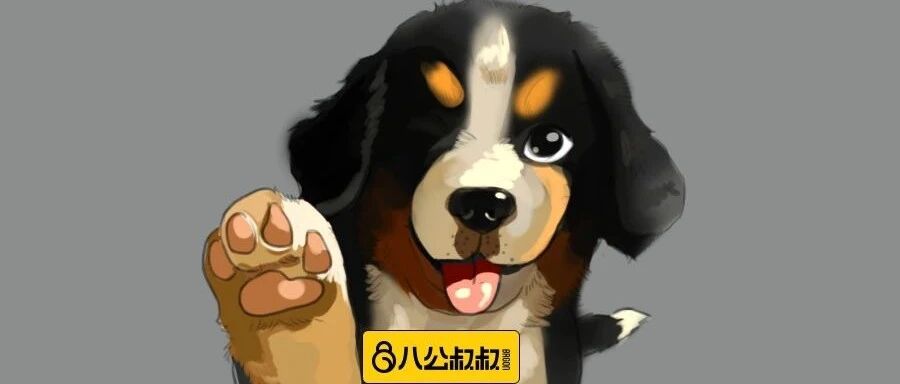 养宠需要注意细节！家里常见的6样物品其实很危险……