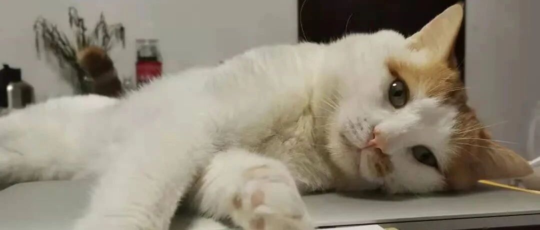 秋冬季皮肤病、口腔病来势凶猛，咋整？ | 热门问诊白皮书