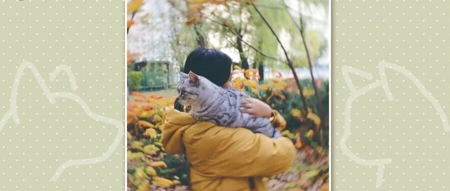 藏不住了，我家猫咪超级擅长『放大招』！