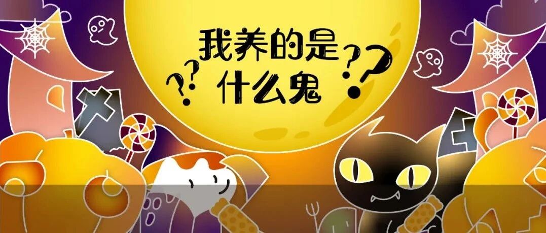 乖乖！能遇见你，我真是捡到鬼了！