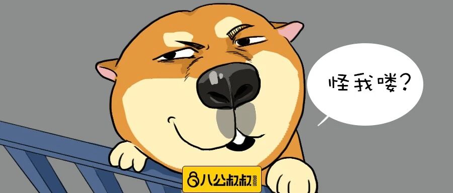 据说养狗之后就会失去这些！看完真的扎心！