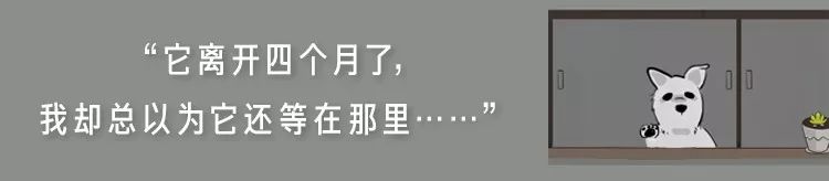 超暖心！養寵後的哪個瞬間你感到幸福？鏟屎官說…… 寵物 第4張