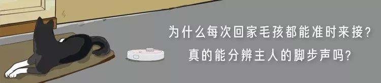 聽說養寵的人都能遇事冷靜？畢竟毛孩闖的禍真的太多了… 寵物 第26張