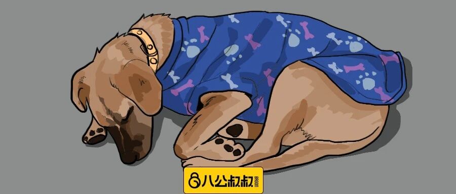 失去主人曾让它的生活跌入谷底，好在结局暖心！