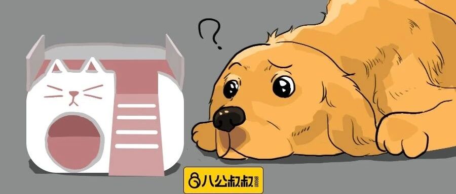 爆笑！给毛孩买东西一定要注意尺寸，否则……