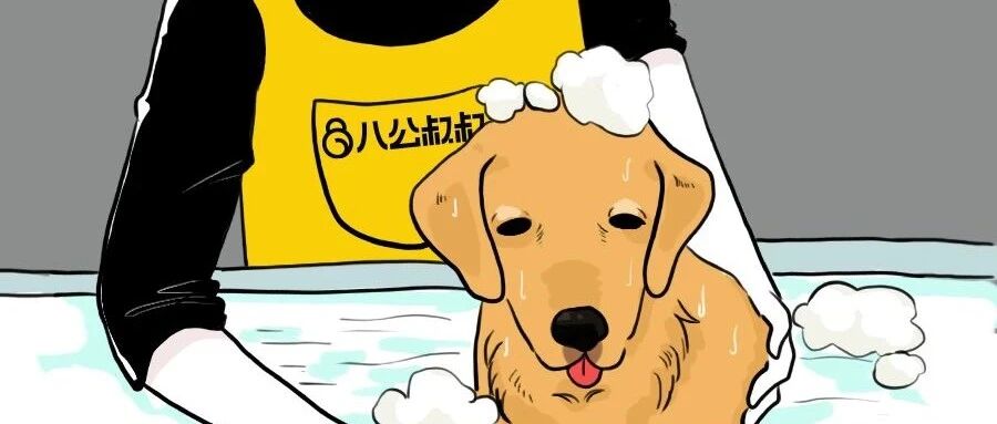 5种情况不能给毛孩洗澡，铲屎官们要注意！