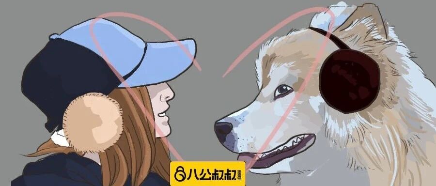 本想养一只小型犬，这货却一眨眼成了一只“熊”？！