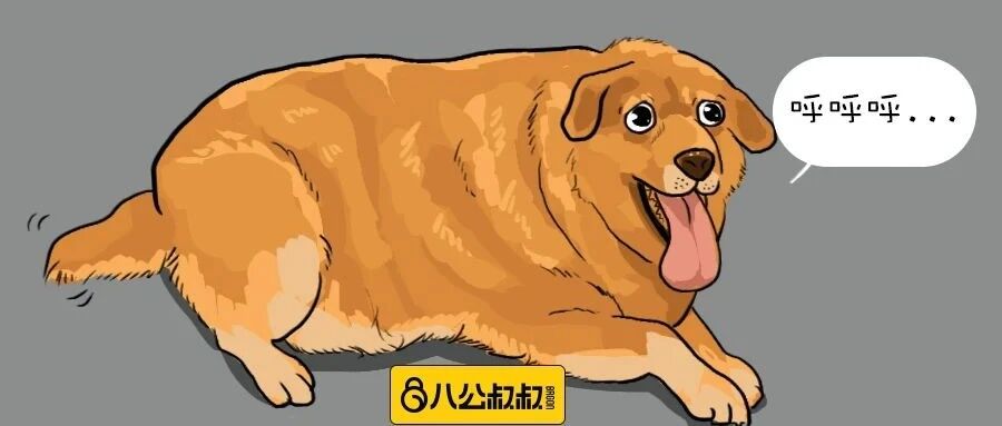 “它长胖了，活得也好痛苦，不如你们为它安乐死吧！”