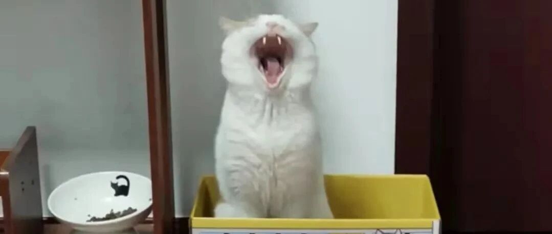 令人「闻风丧胆」的狂犬病，预防才是重点！