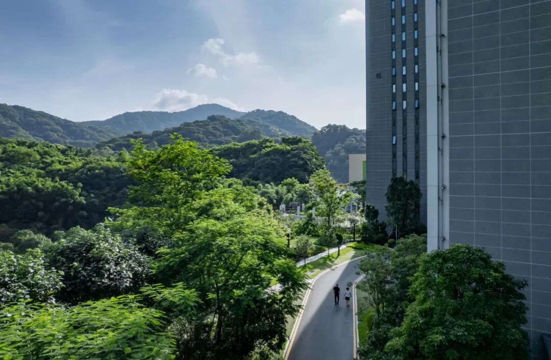 黄埔中冶逸璟台5月份即将加推，231平联排院墅