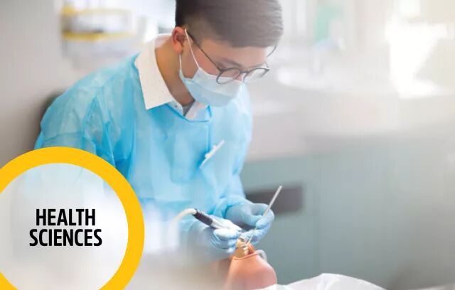 全面了解新西兰奥塔哥大学