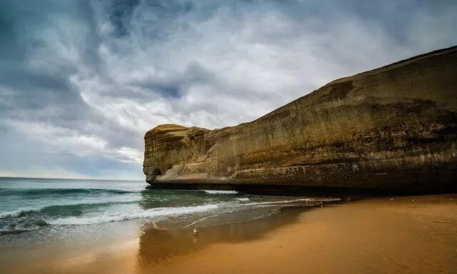 全面了解新西兰奥塔哥大学