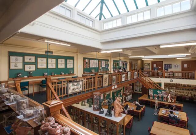 全面了解新西兰奥塔哥大学