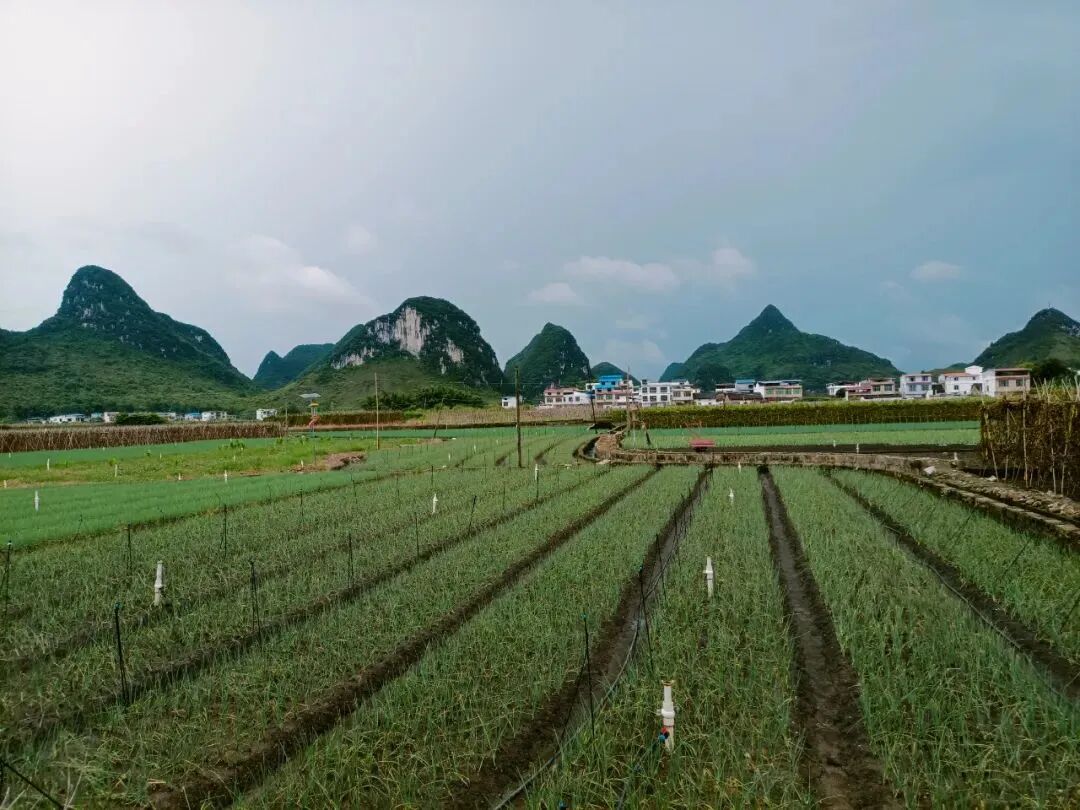 某地塊土壤及地下水修復工程社會風險評估的圖4