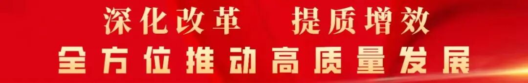 太化集团召开网站建设研讨会
