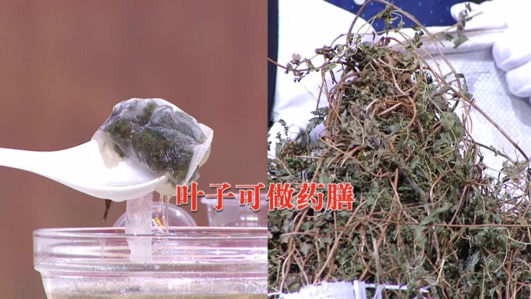 這些食材嘌呤高！一草一粥巧搭配，幫你排尿酸、緩痛風！ 健康 第16張