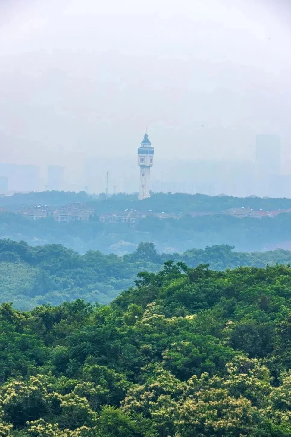 微信图片_2026-03-18_162957_556.jpg
