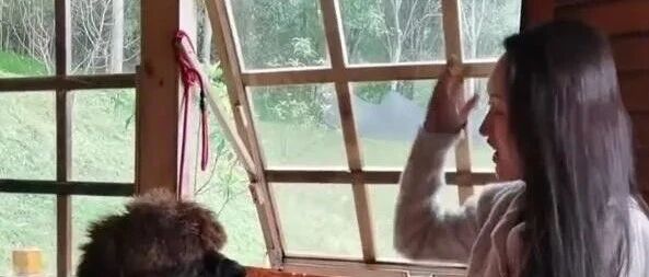 杨钰莹穿大喇叭裤，看着是时髦不少，但身材短板暴露了！