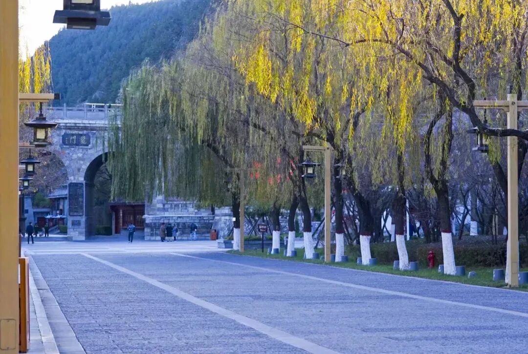 中影集团洛阳洛邑古城_洛阳洛邑古城住宿攻略_洛阳洛邑古城