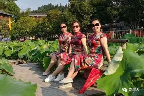 老年同居有啥利弊_老年同居关系权利义务_老年人同居生活方式得意义