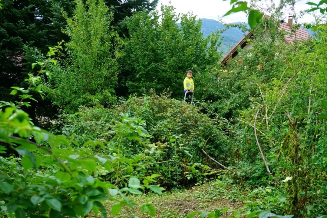 我们把家里的丛林花园变成了孩子们的世外桃源 Mixangel