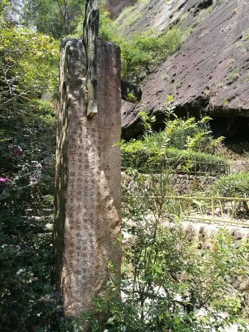 当有人说你喝的大红袍是假的，请这样反驳