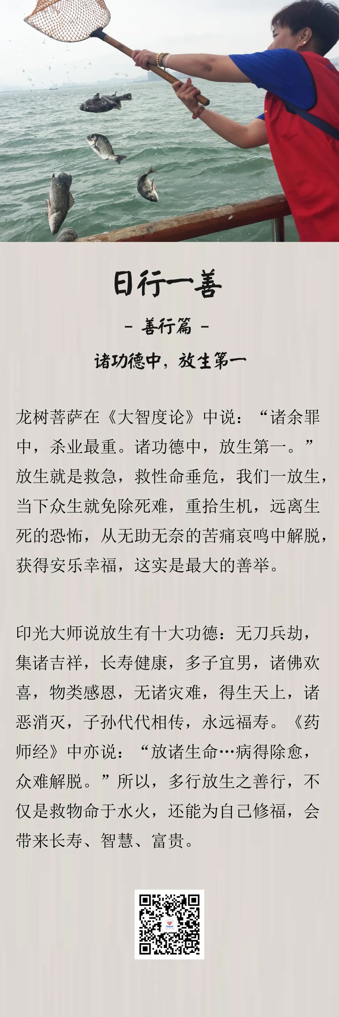 日行一善诸功德中放生第一